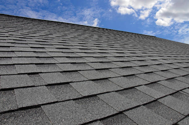 Best Emergency Roof Repair Services  in Leonia, NJ